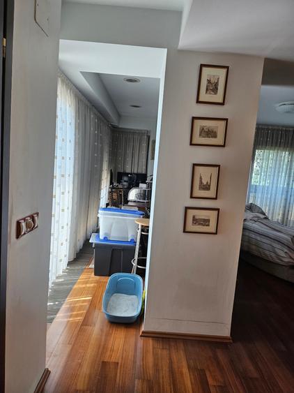 Penthouse cu 7 camere decomandat, mobilat în Titan