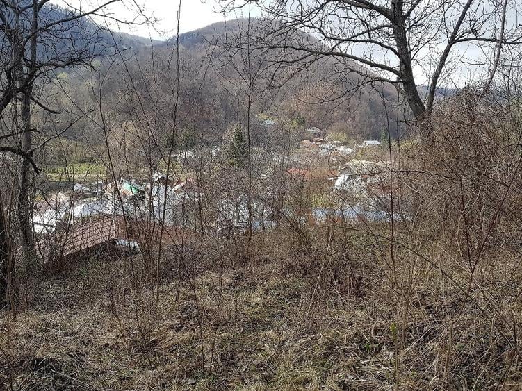 Teren de 2700 mp, în Telega