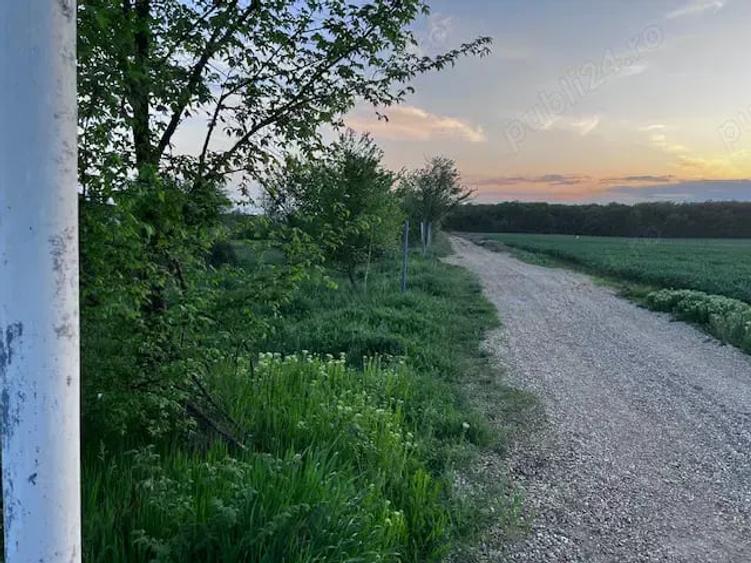 Teren de 2300 mp, în Ciolpani