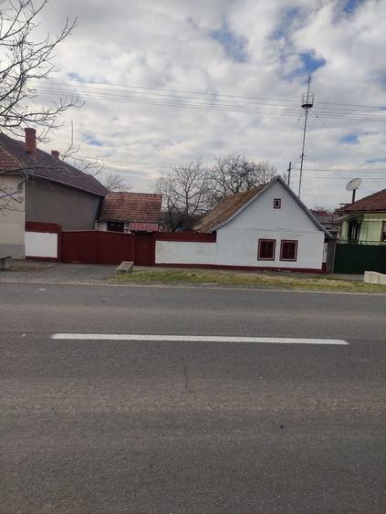 Casa de vanzare 1500 mp - 1