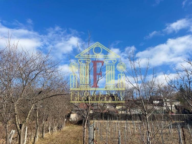 Teren Construcții intravilan de 2000 mp, în Pietrărie