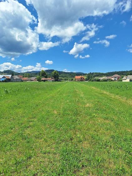 Teren de 4400 mp, în Vama Buzăului