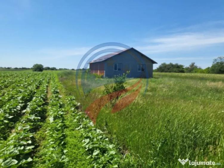 Casă cu 4 camere cu Teren 5100 Mp în Leu
