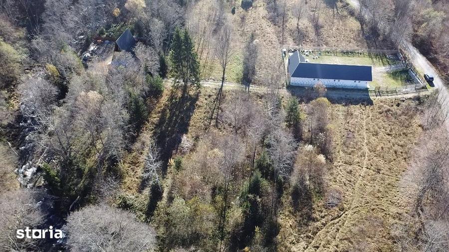 Teren de 3600 mp, în Zăvoi