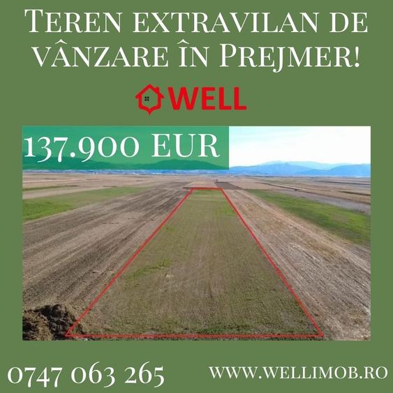 Teren agricol extravilan de 10000 mp, în Prejmer