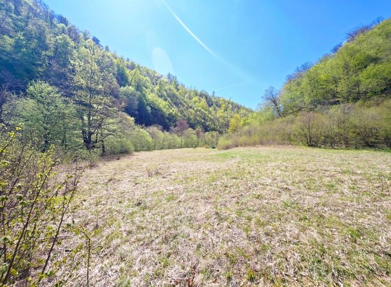 Vând teren intravilan Tarnița - Risca - Mărișel  jud. Cluj - 7