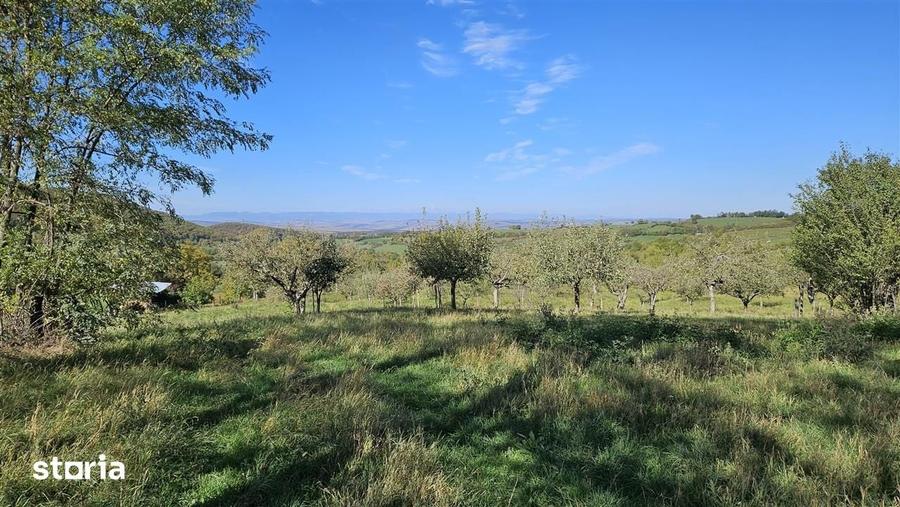 Teren de 1250 mp, în Central