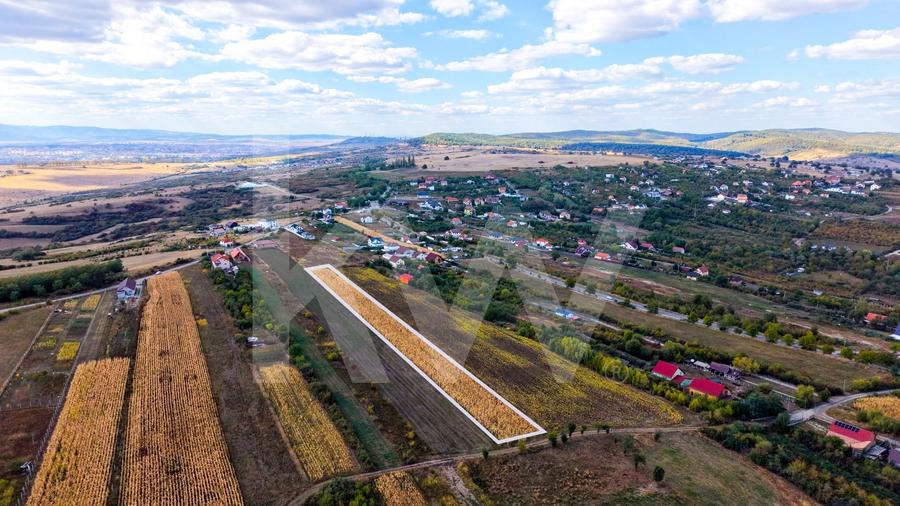 Teren agricol extravilan de 5000 mp, în Daia