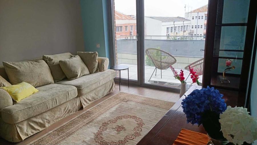 Apartament cu 2 camere semidecomandat în Dosu Bricii
