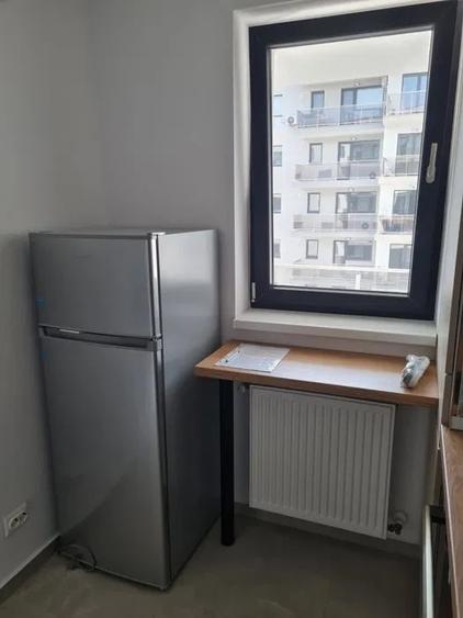 THEODOR PALLADY | HILS BRAUNER | CENTRALA | PARCARE | AC | METROU - 6