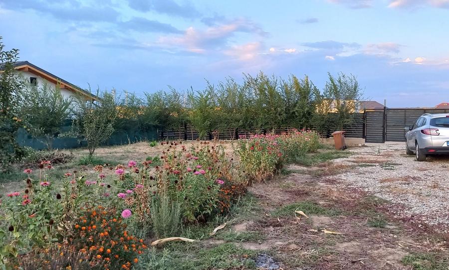 Casă cu 3 camere în Ulmi