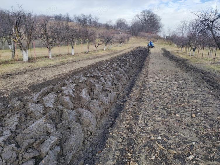 Teren de 2500 mp, în Central