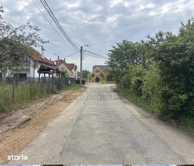 Teren de 3700 mp, în Valea Borcutului