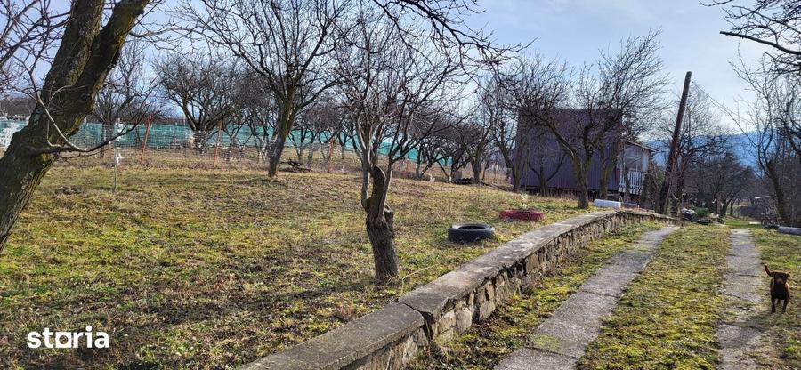 Teren de 4300 mp, în Central
