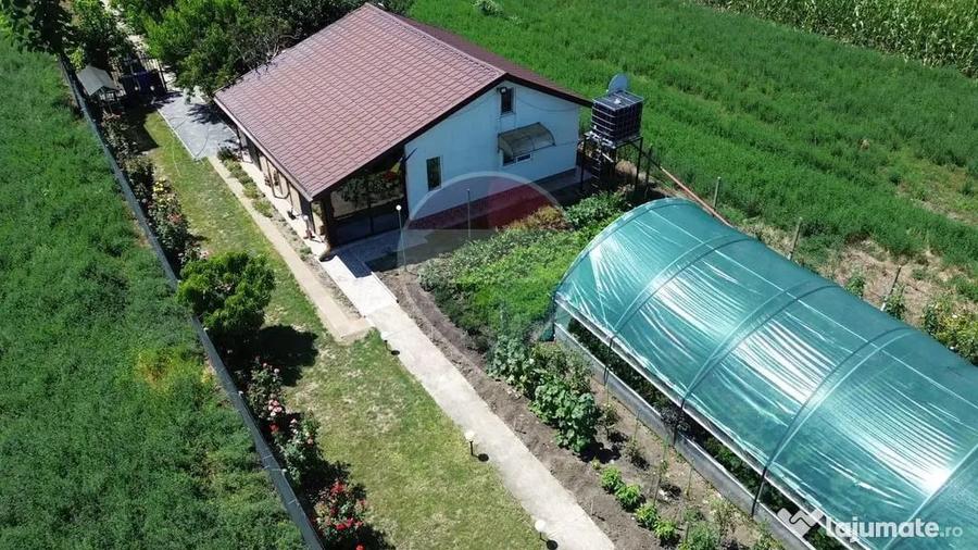 Casă cu 2 camere cu Teren 6943 Mp în Gologanu