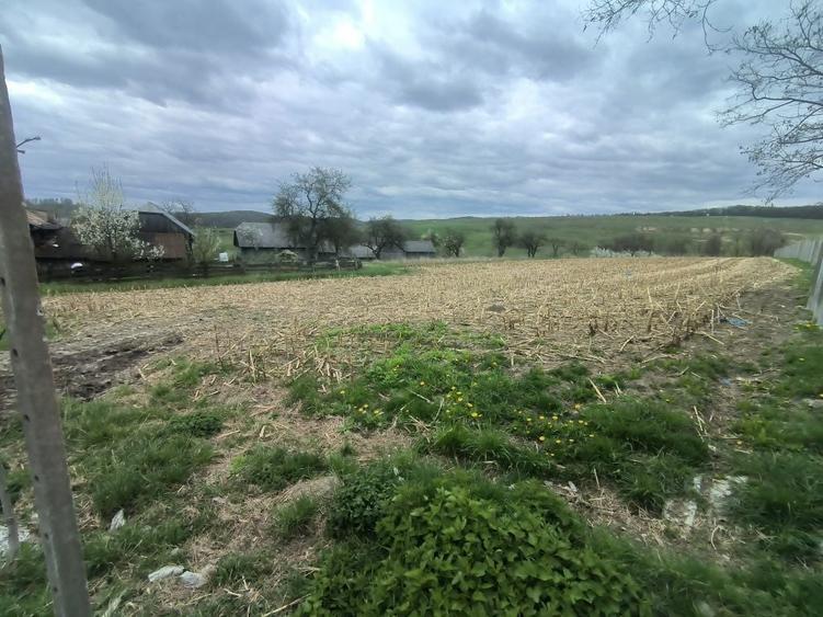 Teren de 48000 mp, în Ilișești