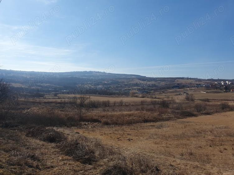 Teren de 5000 mp, în Borhanci