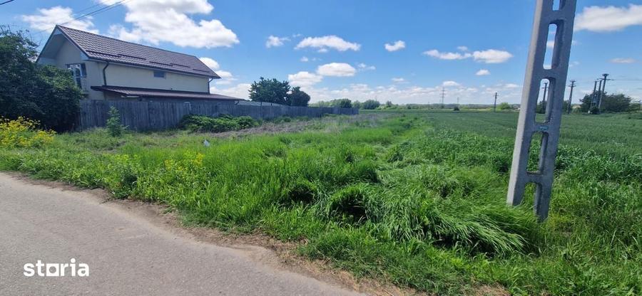 Teren de 1181 mp, în Curtișoara
