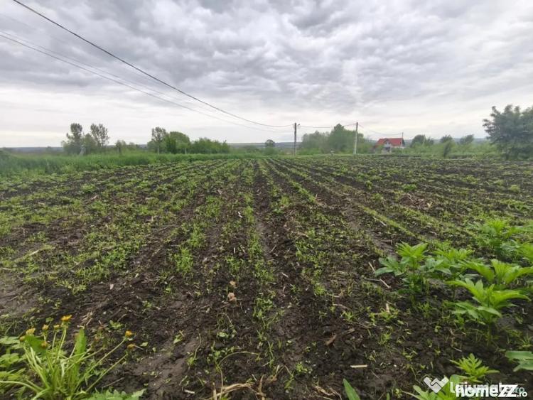 Casă cu 2 camere cu Teren 1600 Mp în Grămești