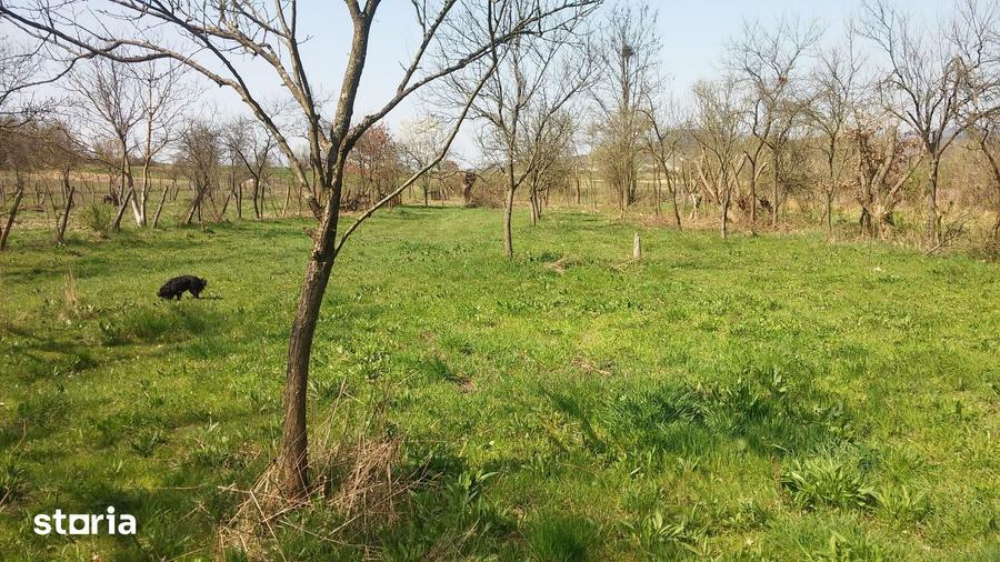 Teren de 2219 mp, în Lăpugiu de Jos