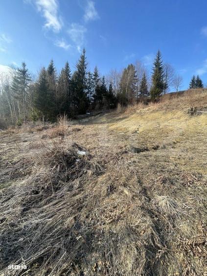 Teren intravilan de vanzare, 15 ari, zona COLIBITA - 2