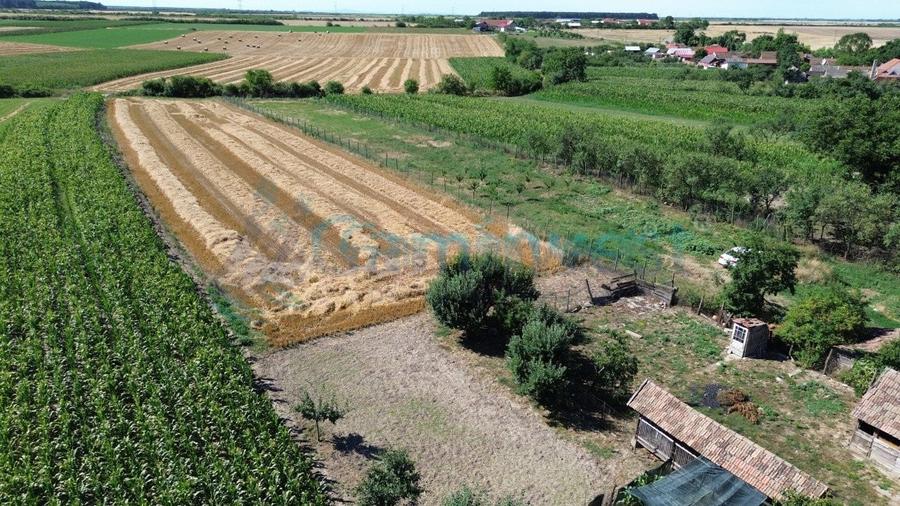 Casă individuală cu 3 camere cu Teren 4192 Mp în Bicaci