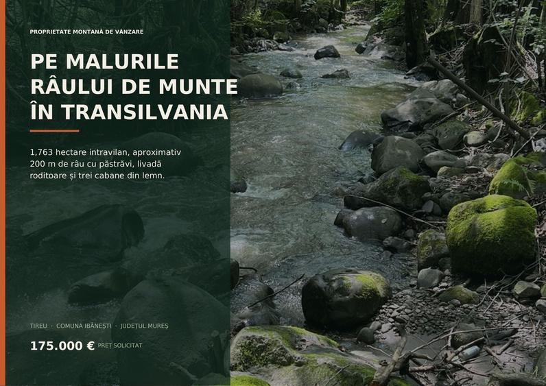 Spațiu comercial, în Tireu