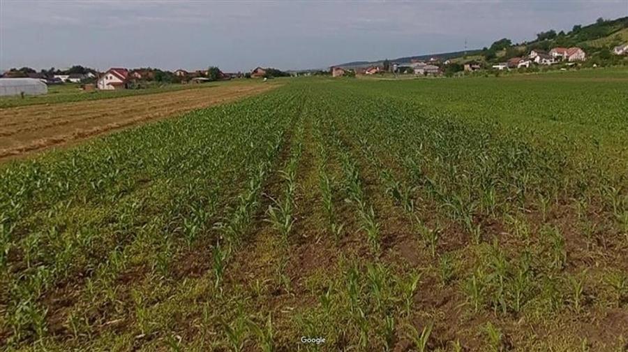 Teren Construcții intravilan de 13000 mp, în Sântana de Mureș