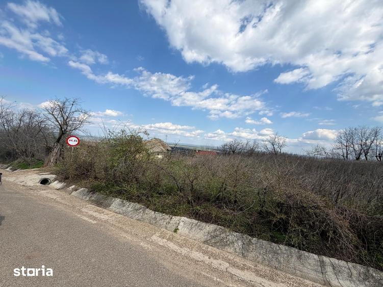 Casă cu 3 camere cu Teren 4000 Mp în Blăgești