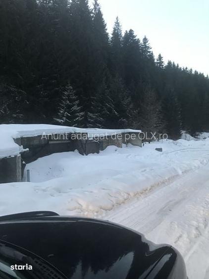 Teren de vanzare Sucevita