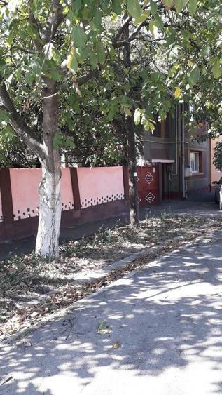 Casă cu Teren 271 Mp în Central