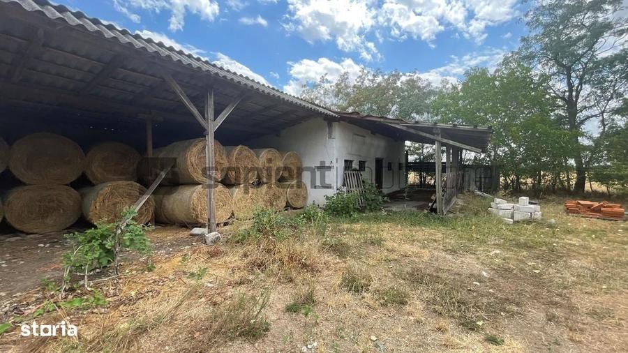 Spațiu comercial, în Cermei