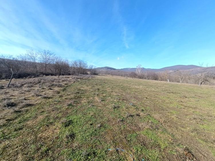 Teren Construcții intravilan de 2950 mp, în Pâclișa