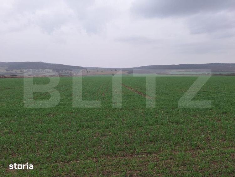 Teren de 10000 mp, în Central