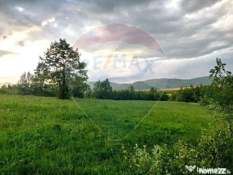 Teren în Tohănița