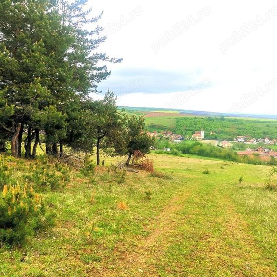 Teren de 3000 mp, în Central