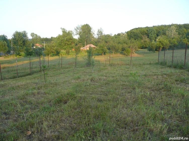 Teren de 600 mp, în Govora