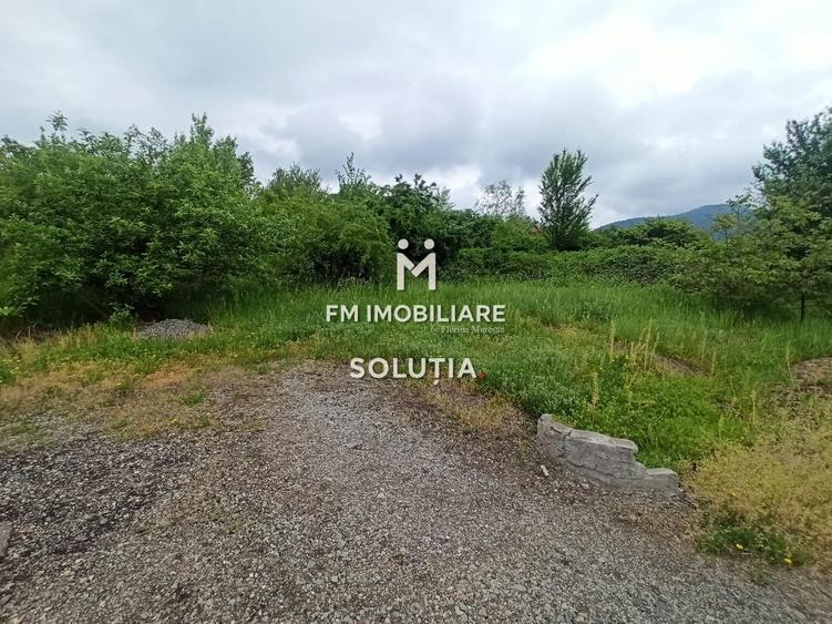 Teren agricol extravilan de 6330 mp, în Valea Borcutului
