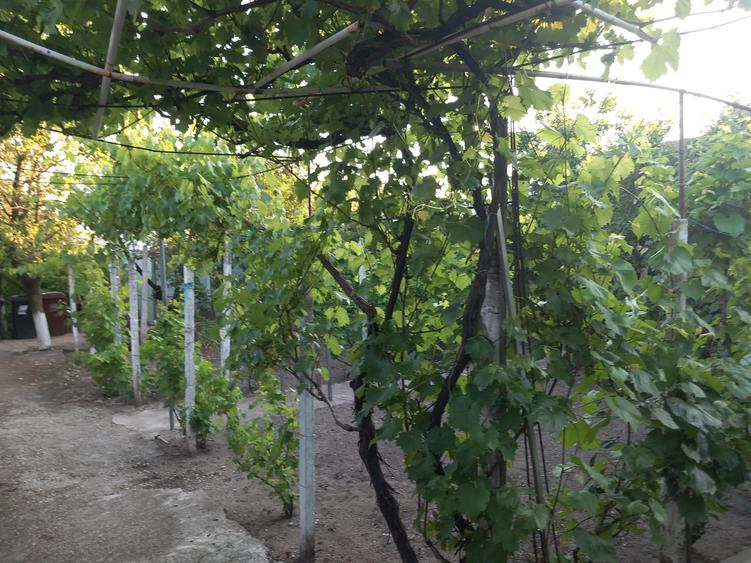 Casă cu 5 camere cu Canalizare în Nanov