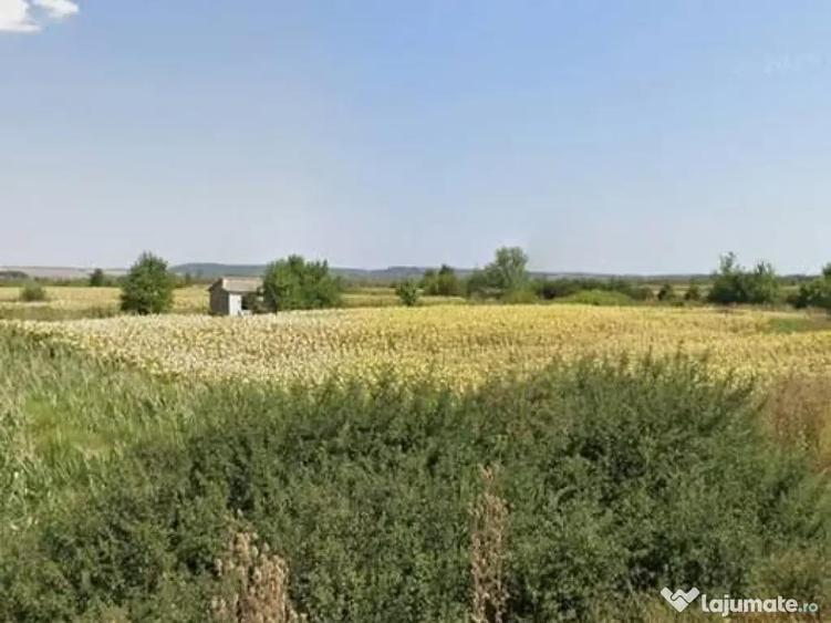 Teren de 23000 mp, în Secu