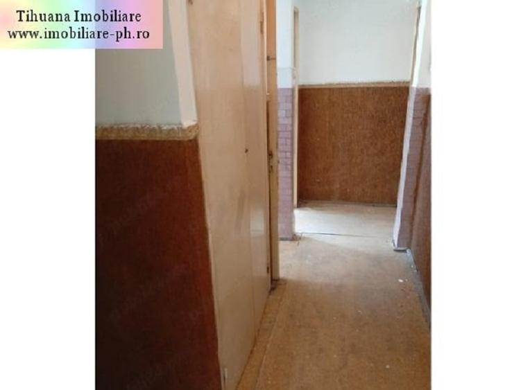 Apartament 3 camere de vanzare : Malu Rosu - 6