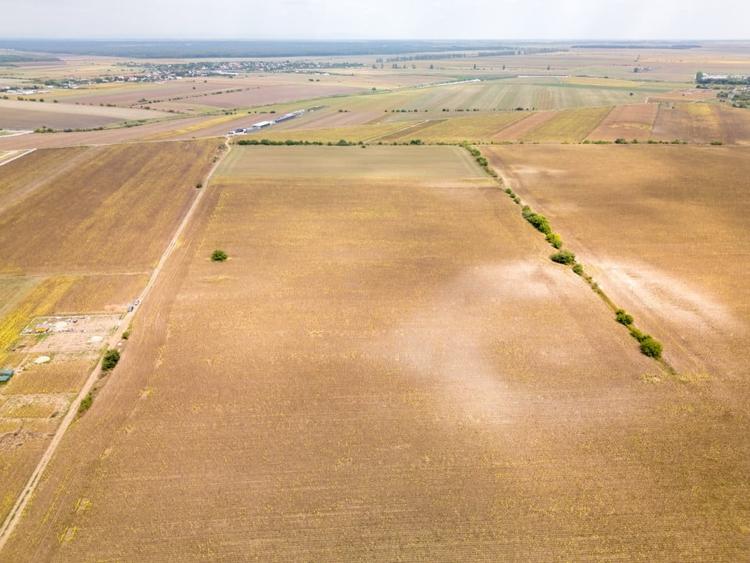 Teren Construcții intravilan de 11332 mp, în Dascălu