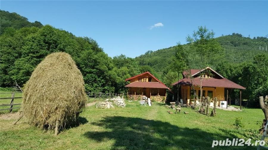 Teren de 4000 mp, în Teșila