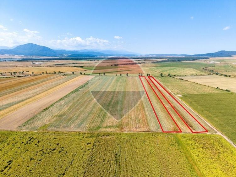 Teren agricol extravilan de 20000 mp, în Hălchiu
