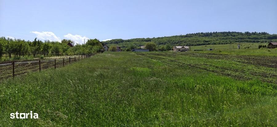 Teren de 2900 mp, în Tureni