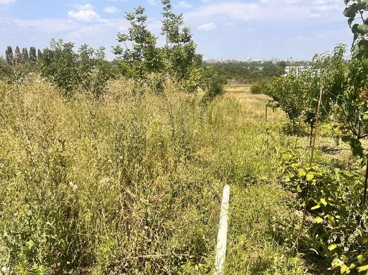 Casa cu teren 820 mp in zona Primariei Popesti-Leordeni | Pozitie excelenta pentru locuit sau investitie - 7