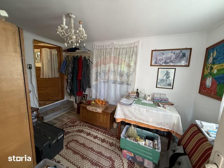 Casa de vanzare in natura la tara - Mihaesti - 4