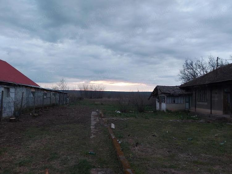 Casă cu 4 camere cu Teren 1800 Mp în Vetrișoaia