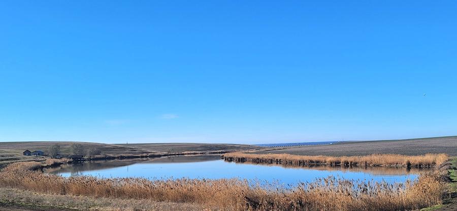 Teren agricol extravilan de 2000 mp, în Frăsinet