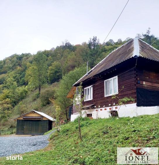 Casă cu 2 camere cu Teren 3800 Mp în Bistra